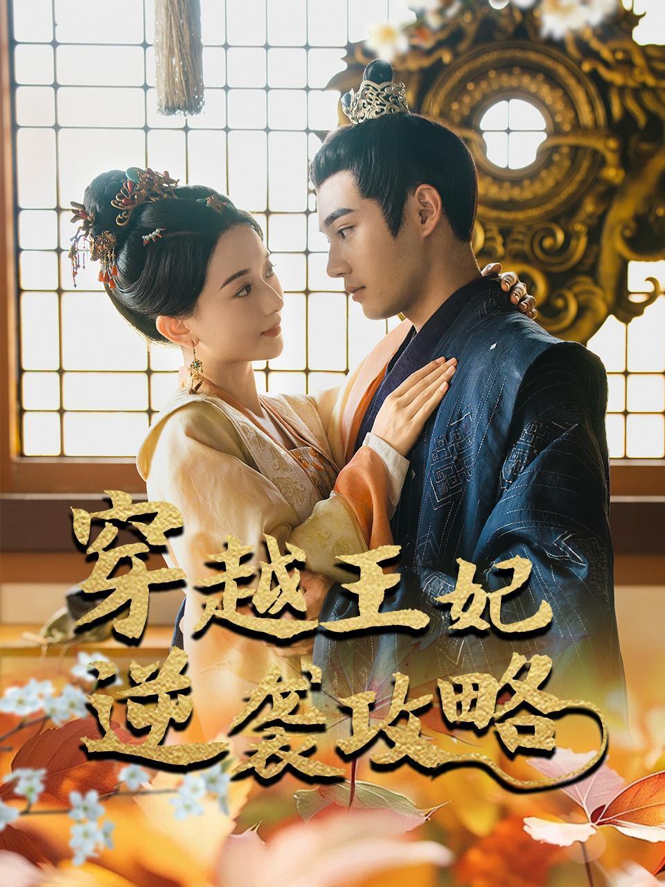 穿越王妃逆袭攻略