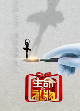 生命缘生命的礼物第三季