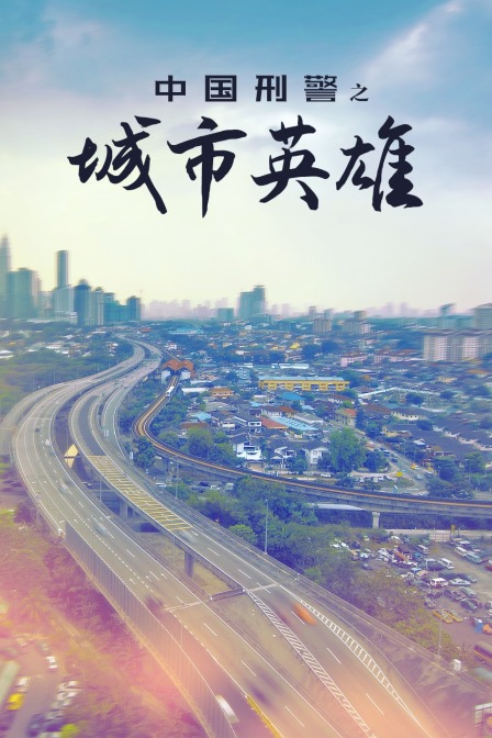 中国刑警之城市英雄