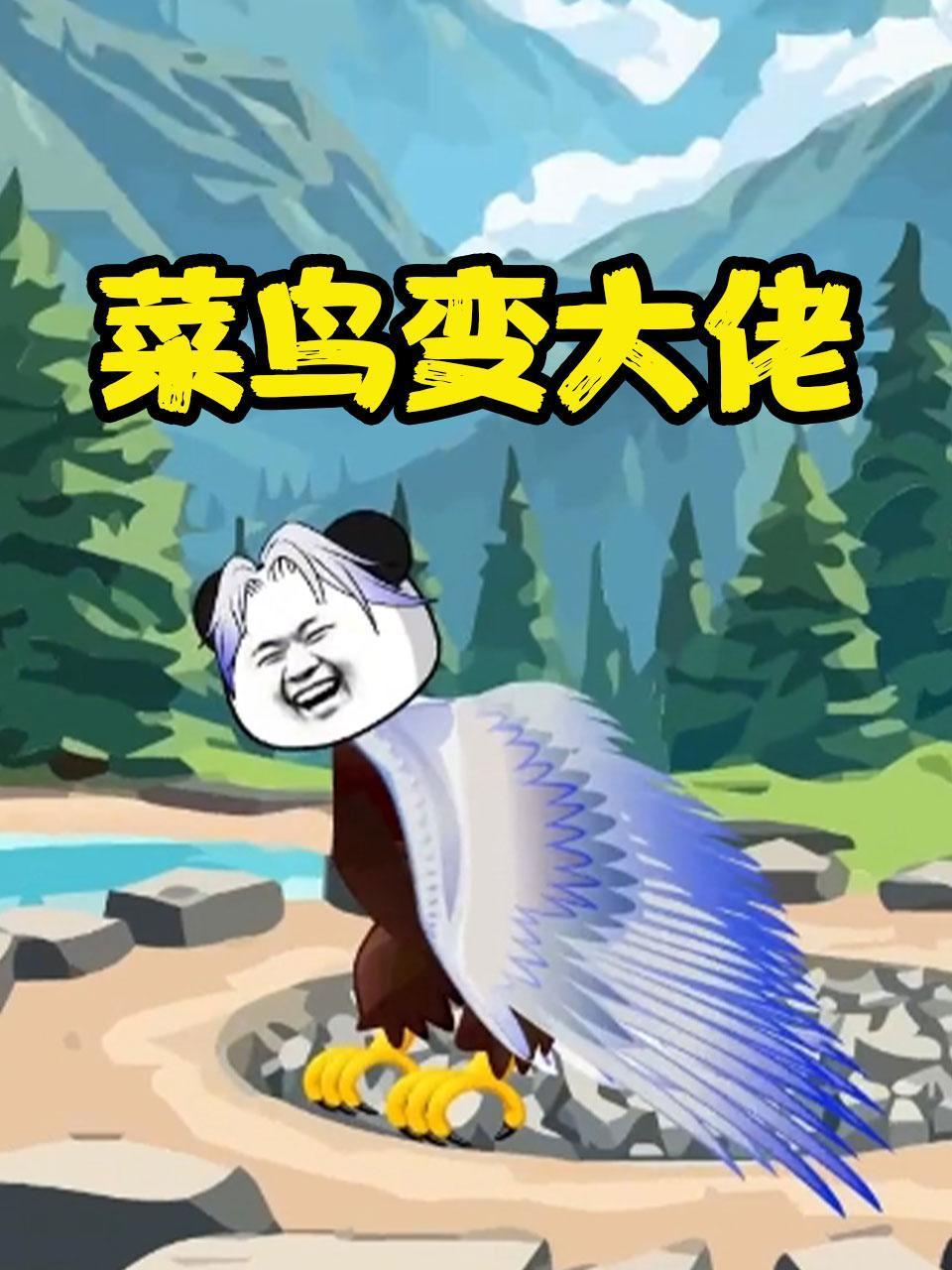 菜鸟变大佬
