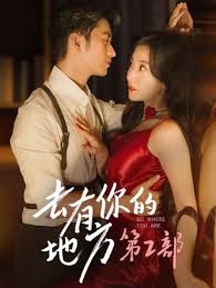 去有你的地方第2部