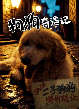 狗狗奇遇记