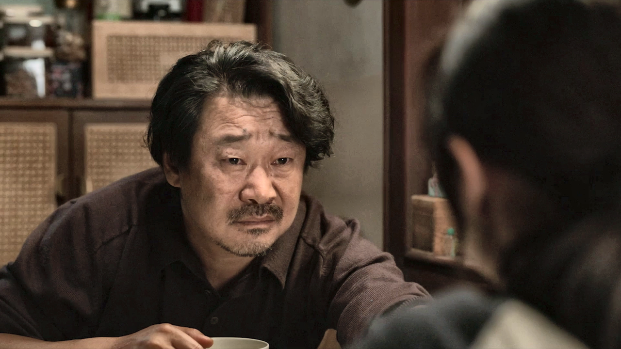 张子枫与流浪狗双向救赎！温暖又治愈