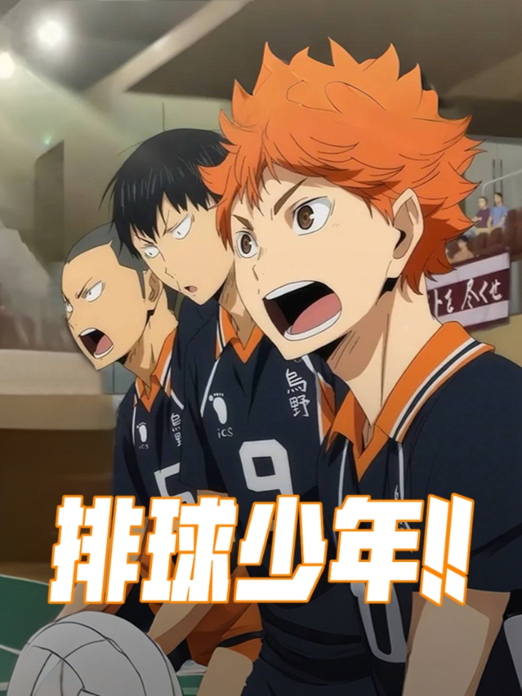 排球少年