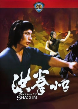 洪拳小子（粤语）