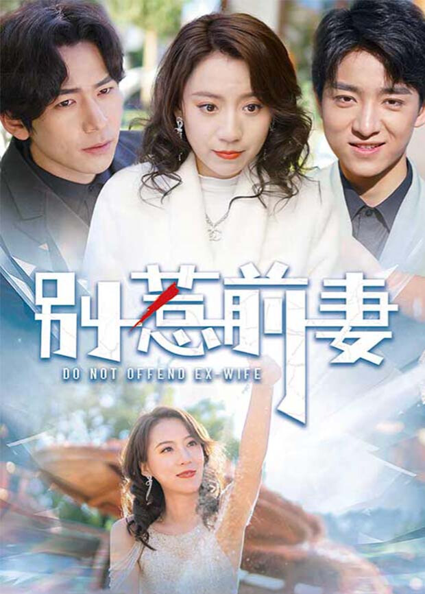 别惹前妻