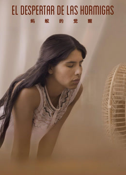 蚂蚁的觉醒