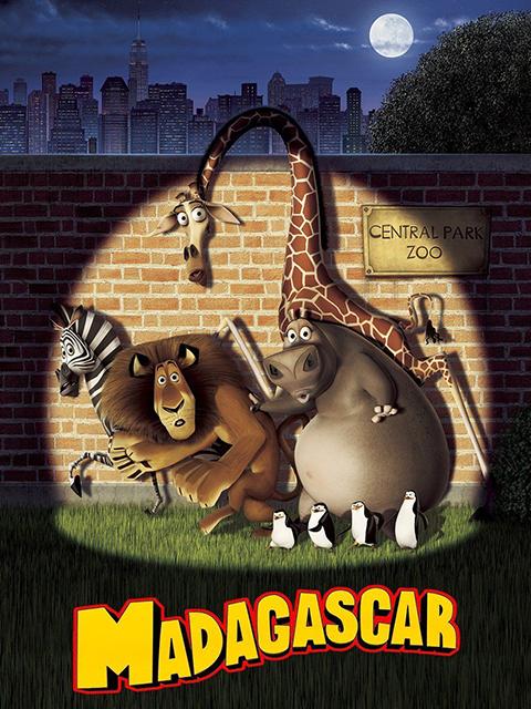 马达加斯加的企鹅